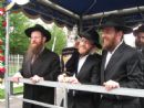 Torah Dedication